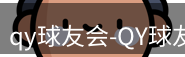 qy球友会